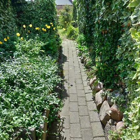 Hokeriet C Nordborg
